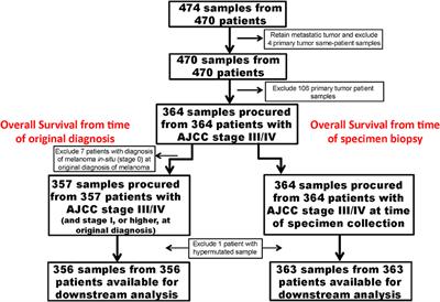 The Prognostic Significance of Low-Frequency Somatic Mutations in Metastatic Cutaneous Melanoma